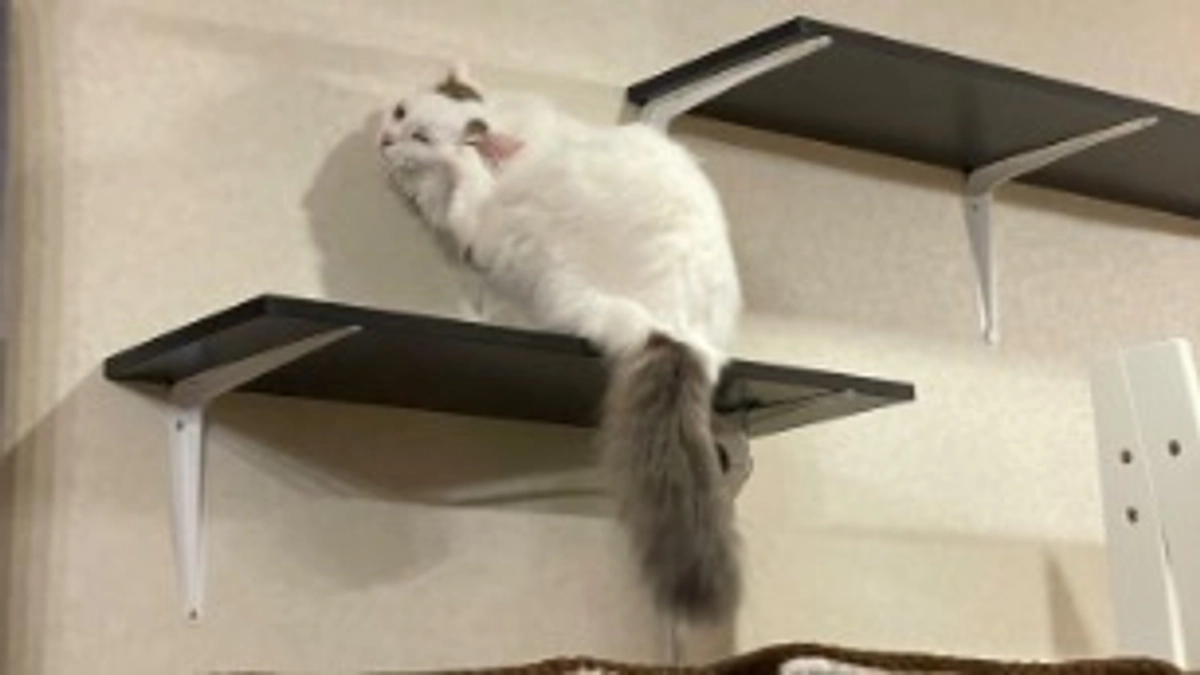 いい季節になりました🌱