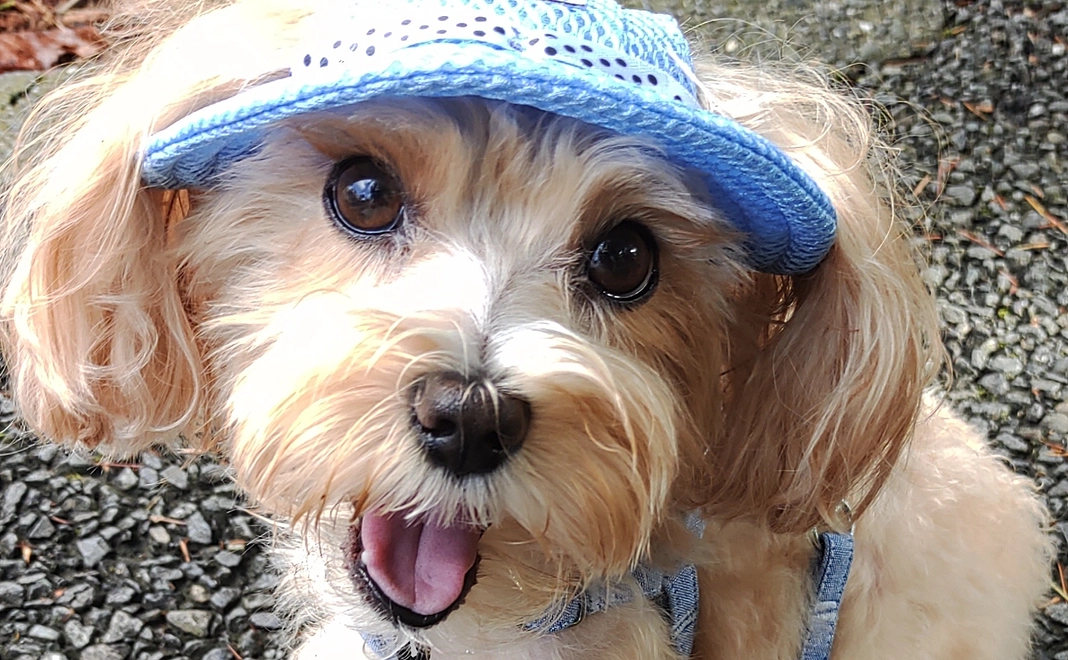 ご支援に心から感謝致します①