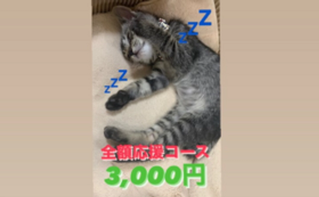 全額応援コース:3,000円