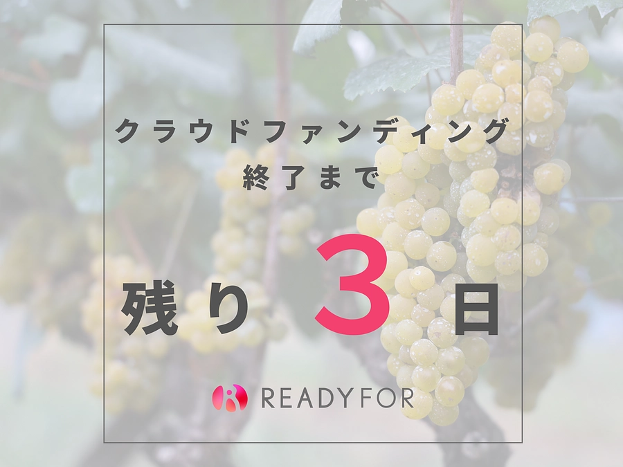 【カウントダウン】残り3日！応援メッセージのご紹介
