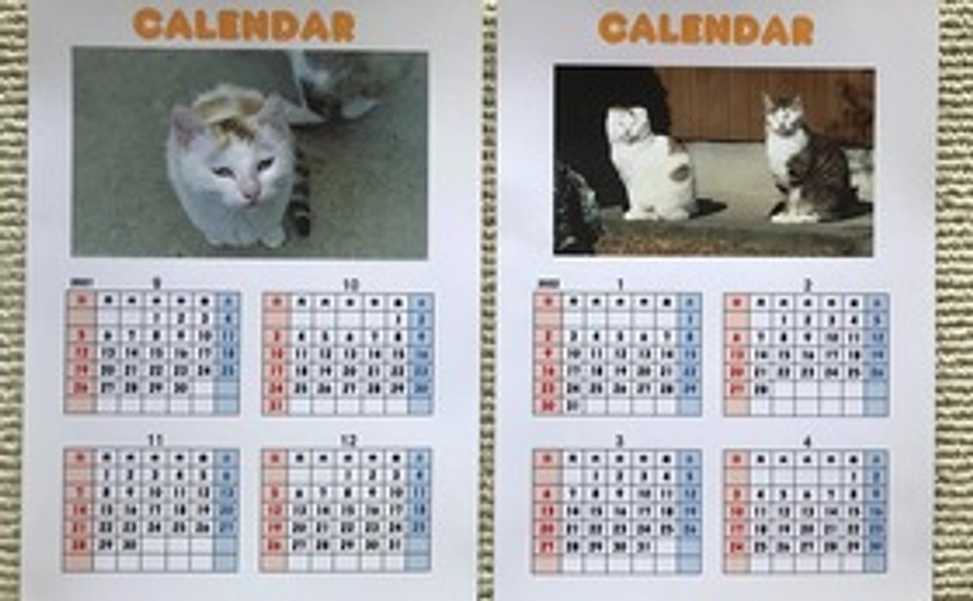 感謝のメッセージと猫ちゃんカレンダー２枚