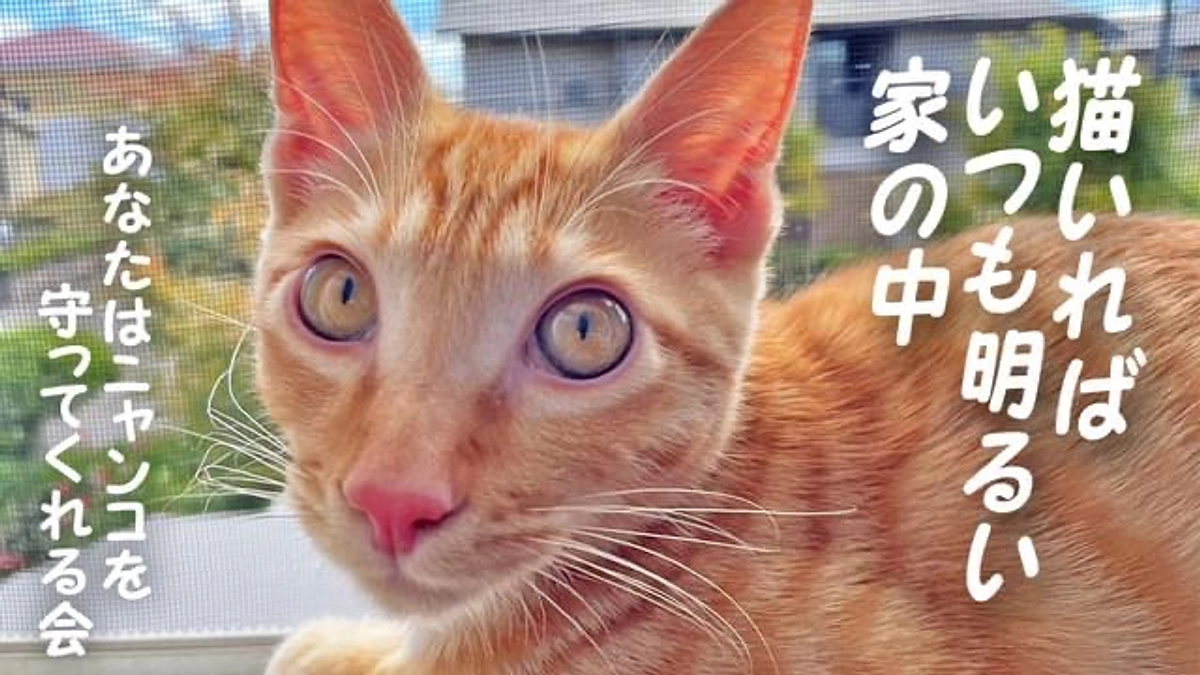 残り【1日】ネクストゴールへの挑戦❗️引き続き応援、ご支援お願いいたします。