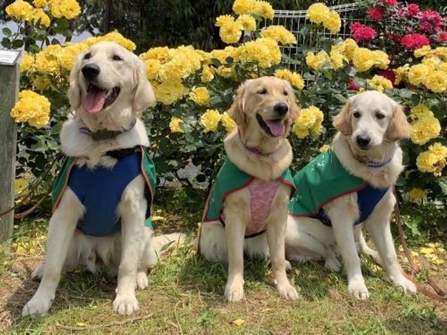 【御礼】今回のクラウドファンディングも第一目標達成いたしました！