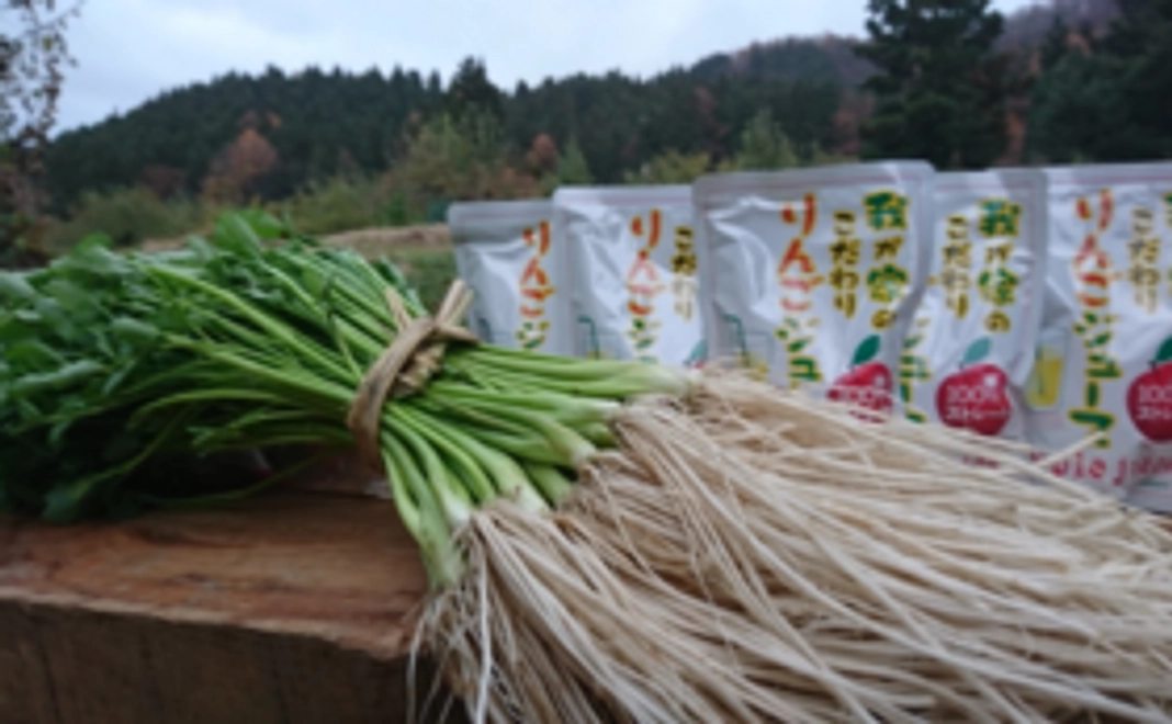 三関せり お試しコース！