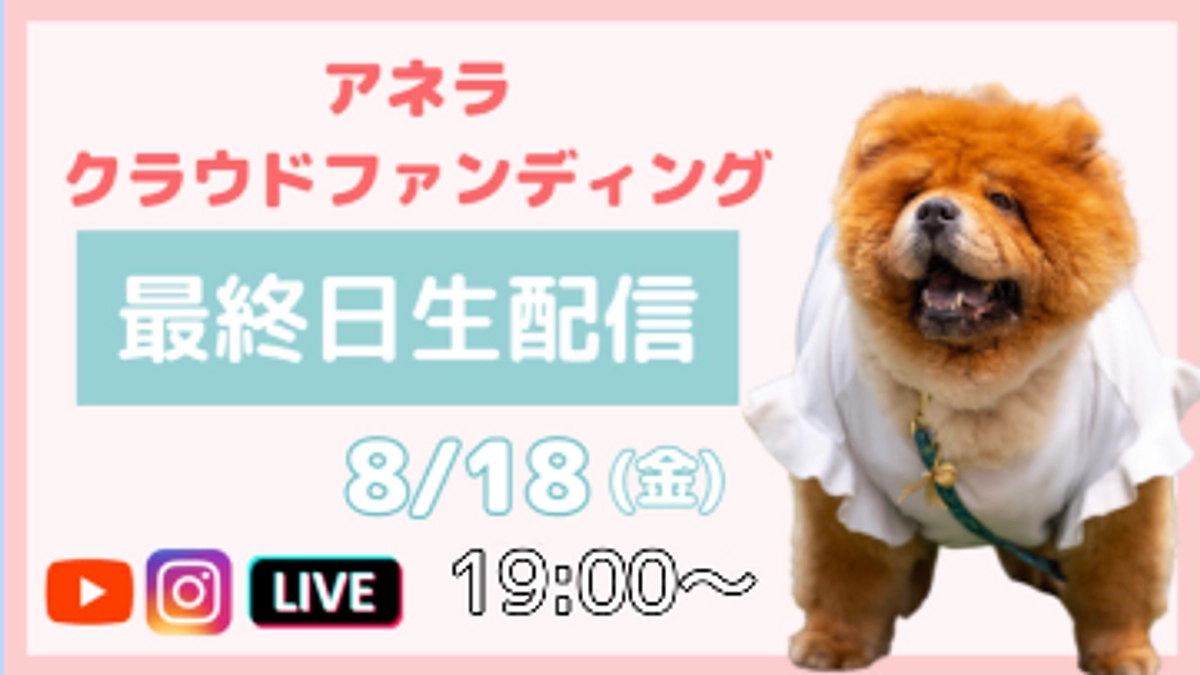 【残り24時間】8月18日19:00〜アネラ初のライブ開催！最終日生配信で一緒に盛り上がりましょう！