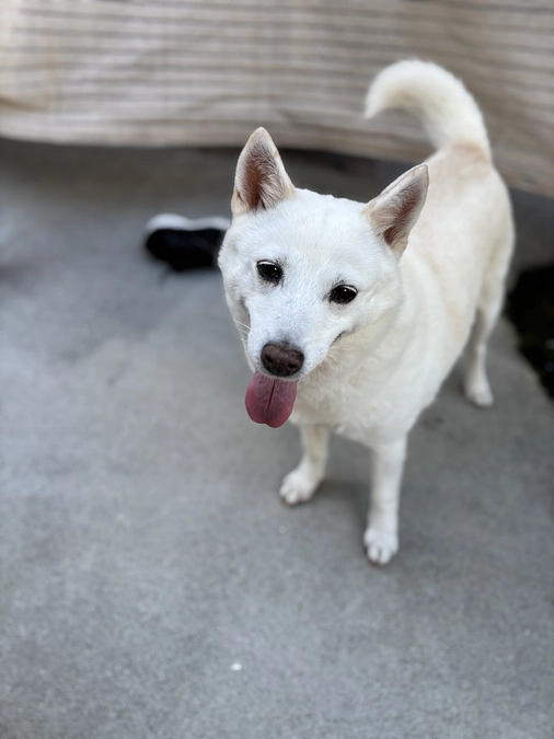 ご支援ありがとうございます