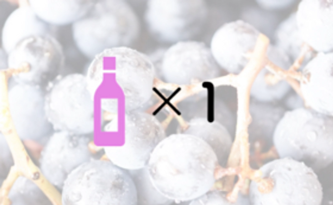 お試し1本プラン