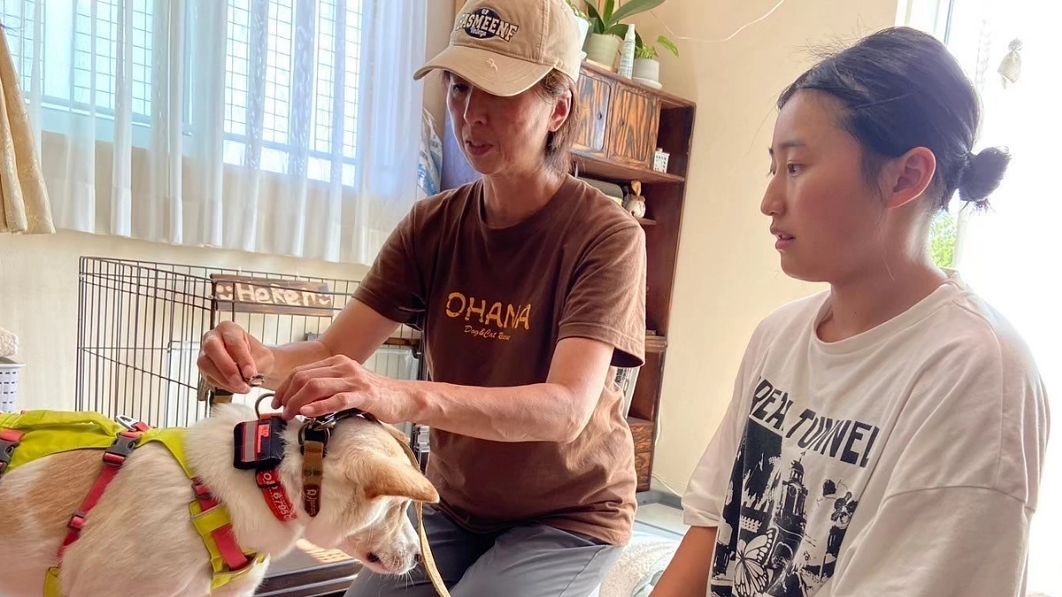 もも15歳 「私にとってのOHANAという存在」