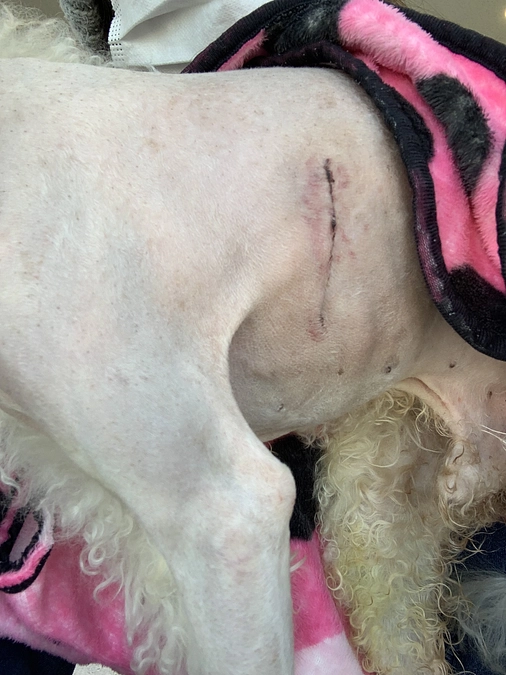 手術を終えました