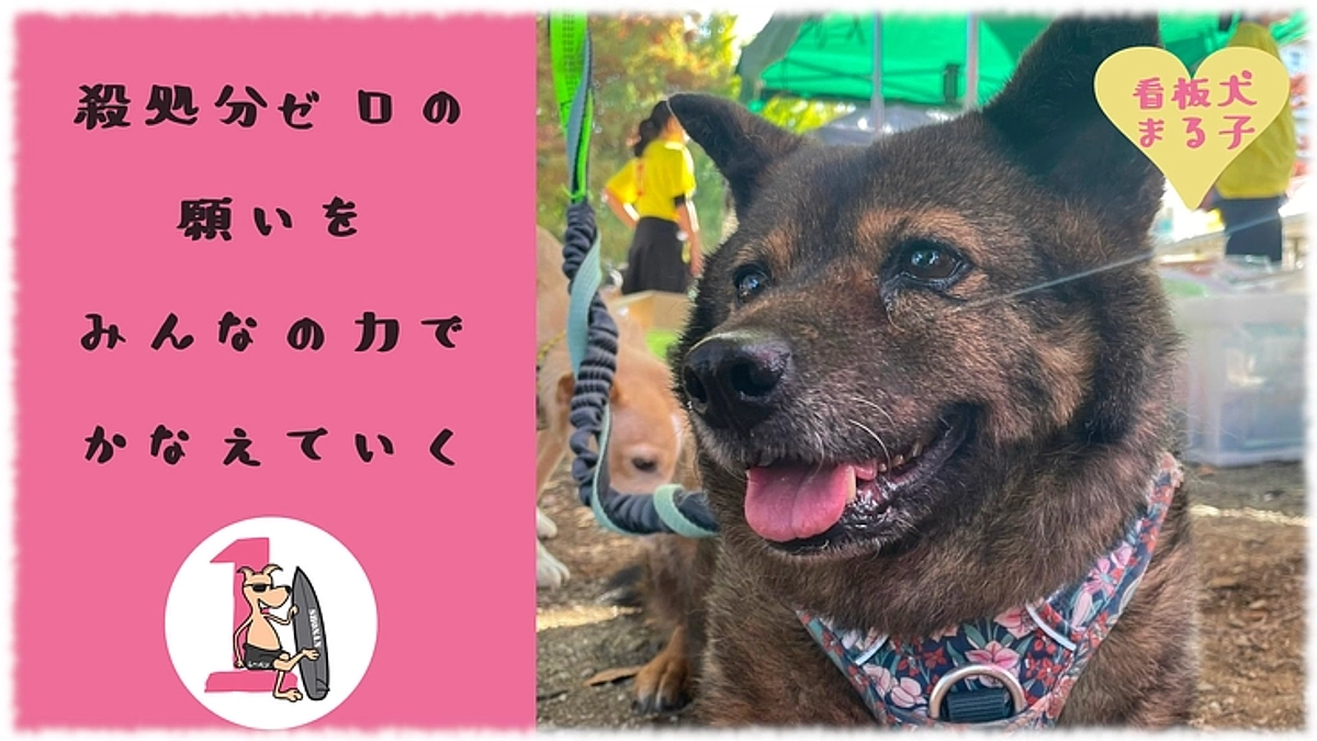 湘南1Lebenさんのマンスリーサポーター募集を応援しています！