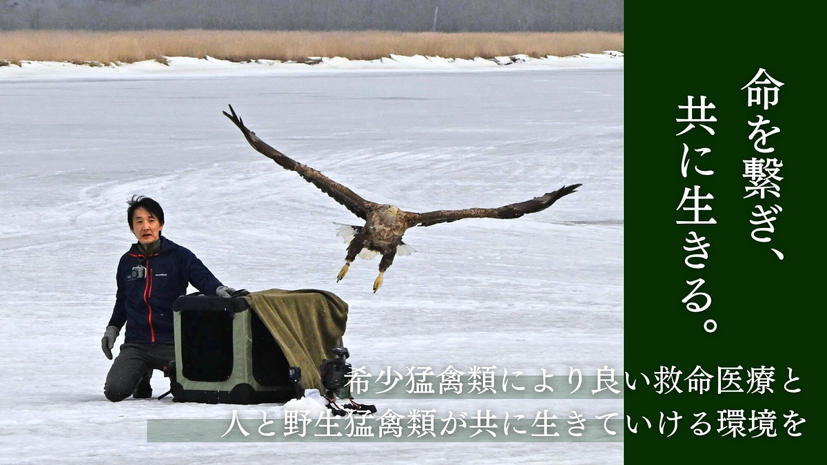 猛禽類医学研究所の取り組みのご紹介