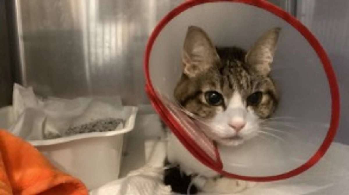 🏥12/24 通院してきました💊