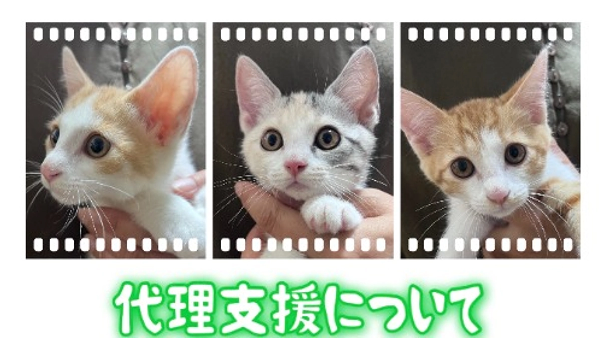 代理支援について