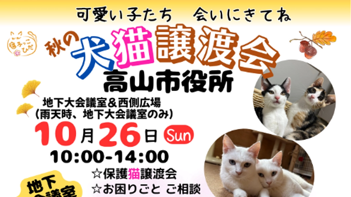 イベントの秋　真っ只中！