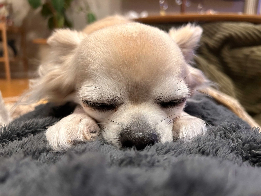 1ヶ月検診が終わりました◎