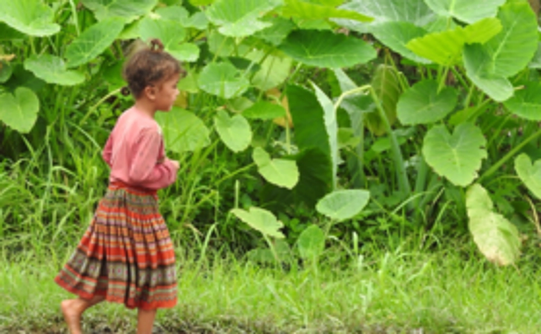 気軽に応援プラン