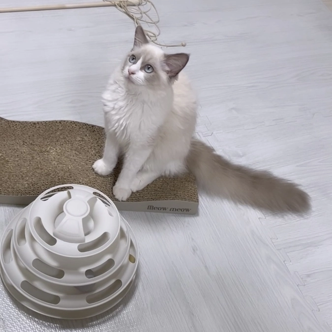 投薬84日間終了のお知らせ