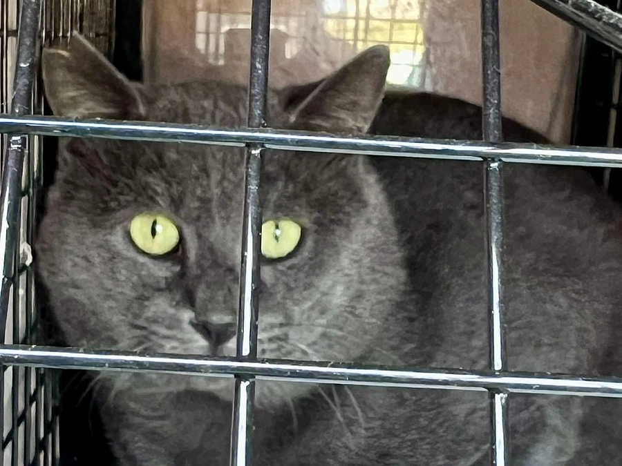 9月＆10月 スペイクリニックご報告