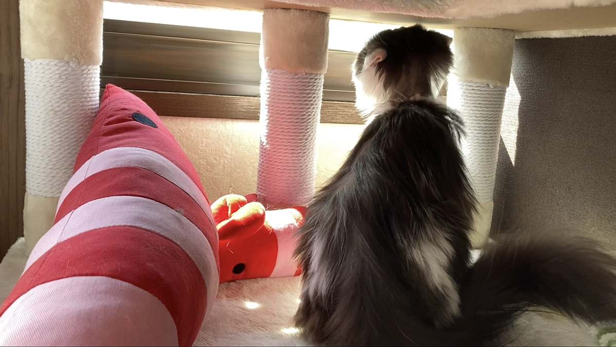 10/24のテオくんの様子