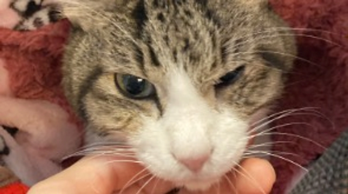 1/15 本日のつーちゃんの様子のご報告です