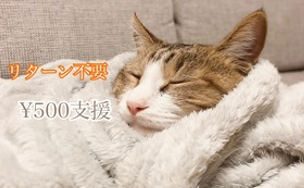 全額応援　500円コース(リターン不要)