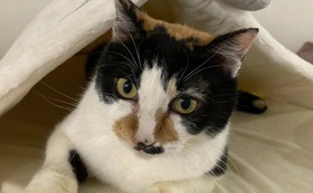 【定期サポート】3,000円コース