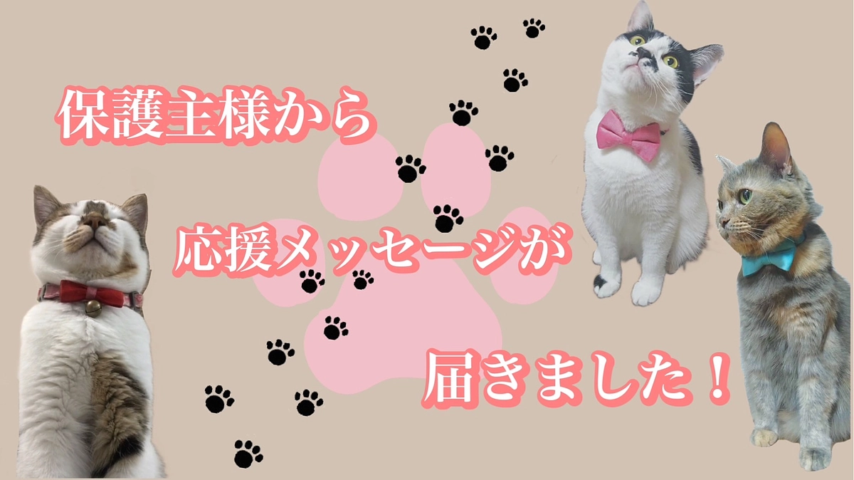 保護主様から応援メッセージが届きました！