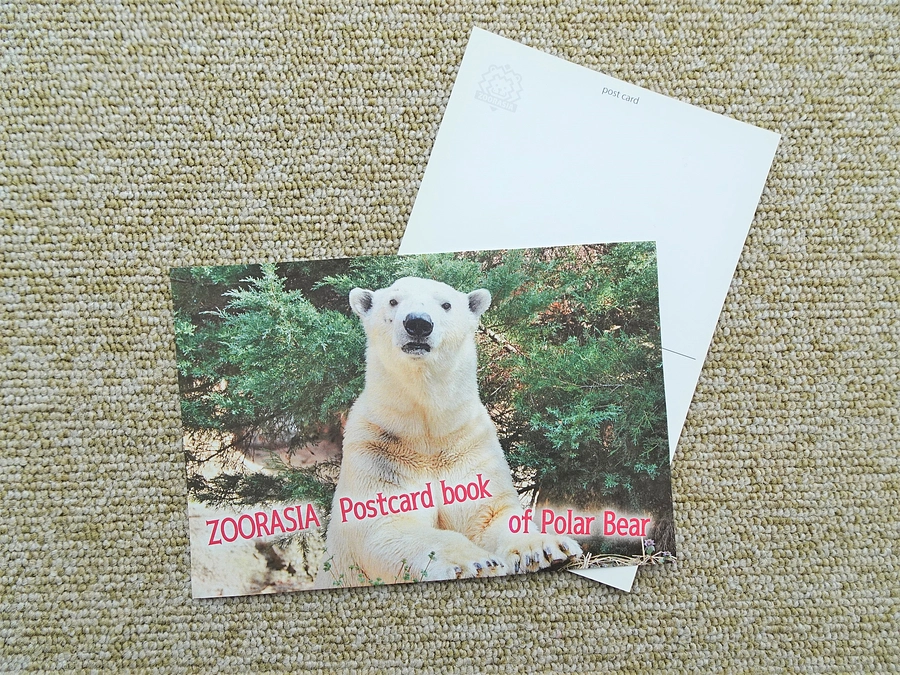おすすめリターン紹介⑲　ズーラシアポストカードブック of Polar Bear