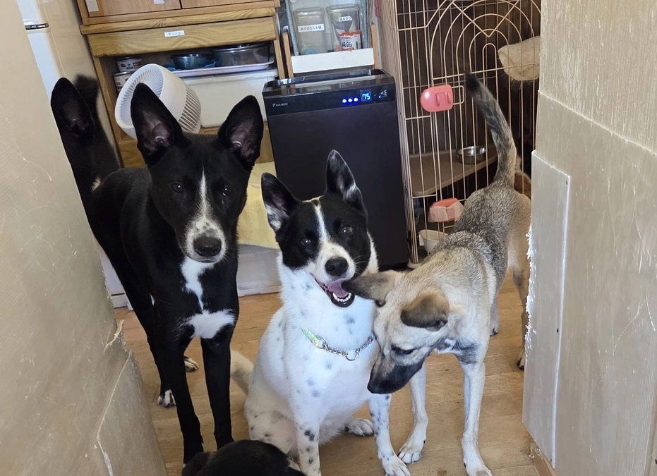 あと1万円で200万円!レーベンのお掃除と週末イベント