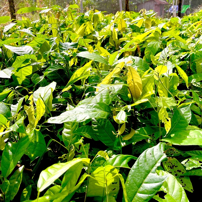 無事日本に帰国しました🇯🇵