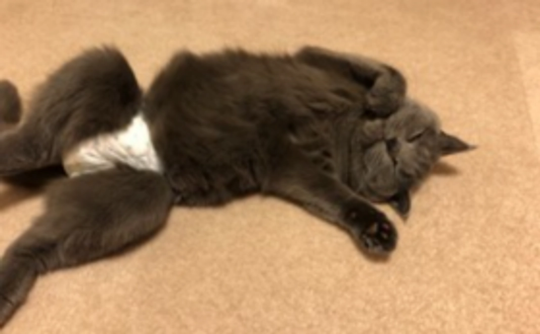 【リターンはご不要な方へ】5千円応援コース