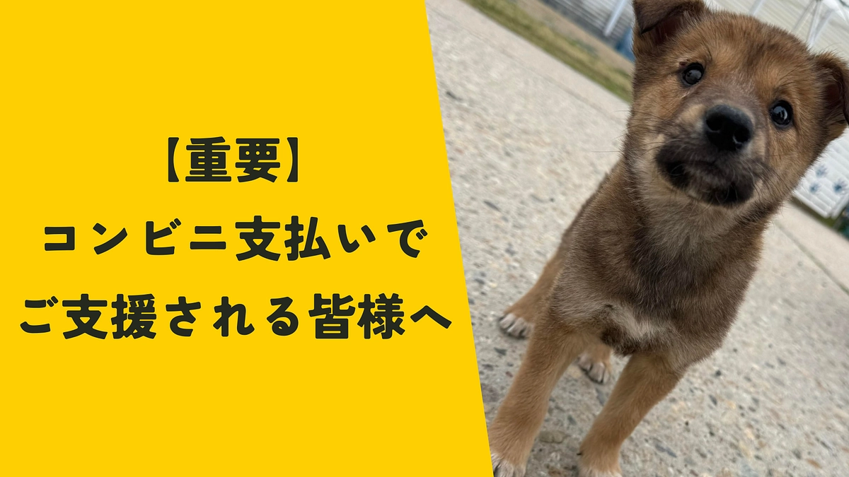 【重要】コンビニ支払いのご支援について