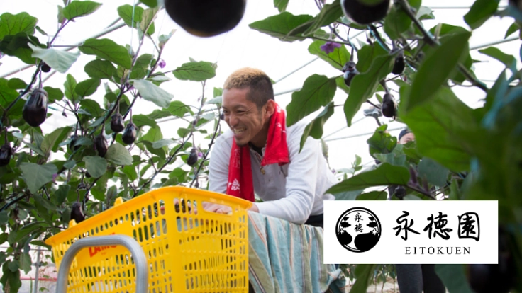 大阪の水なす農家の挑戦。生産者から消費者へ美味しさを届けたい