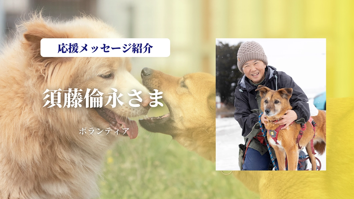 ボランティアの須藤倫永さまより、あたたかい応援メッセージをいただきました