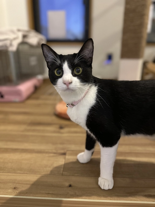 残り2日となりました。