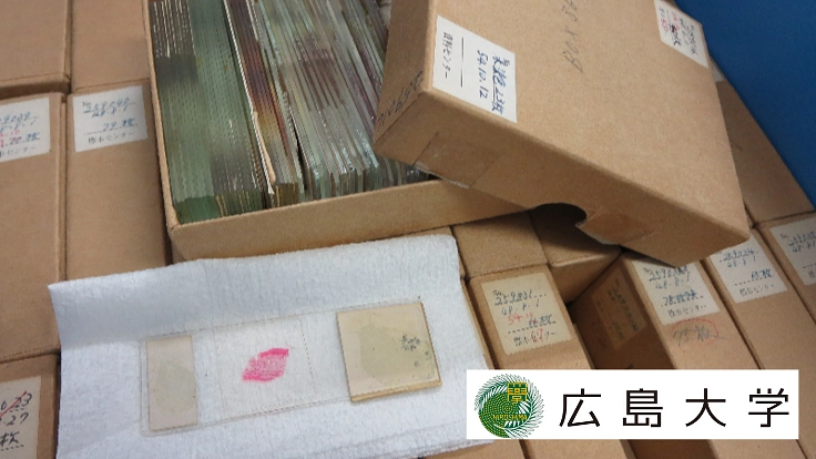 原爆被爆者の記録を後世へ：標本データベース化プロジェクト