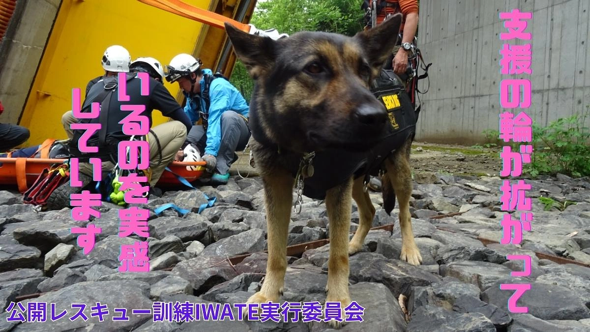 スタートから１０日となりました