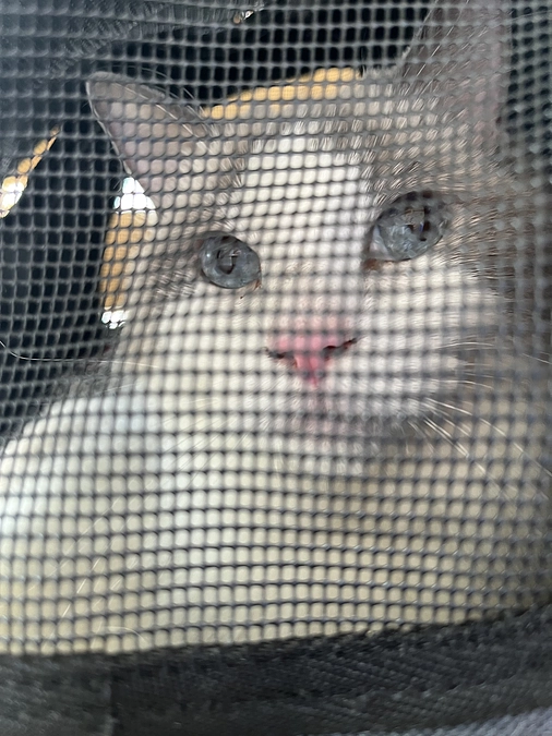 0918 ソラ定期検診