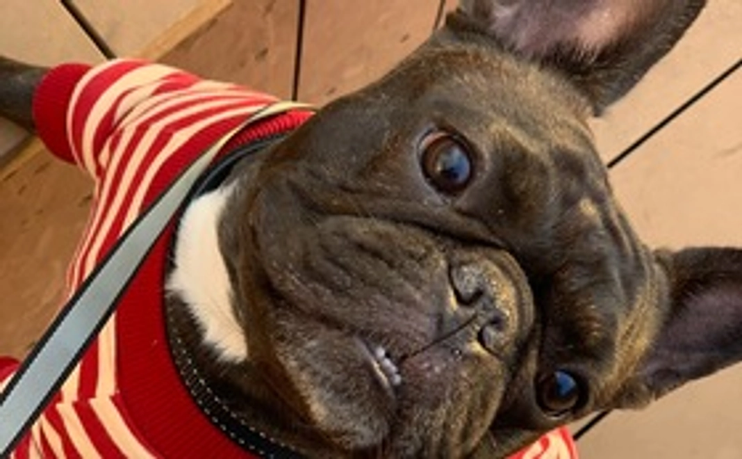 しゃちょうくんご支援1