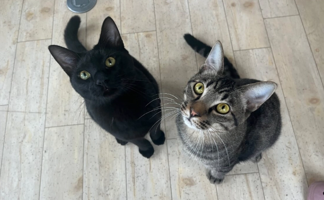 お気持ちコース｜30,000円