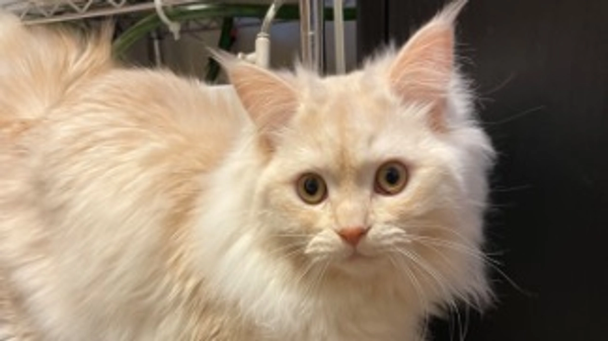 今日のトキ☀️🍃