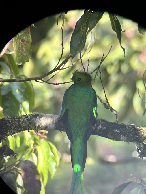 コスタリカに現地調査に来ています！