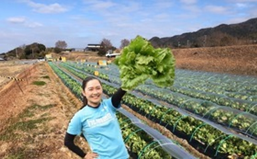 【MKK農園】季節の野菜セットＭサイズ（3~5種類）