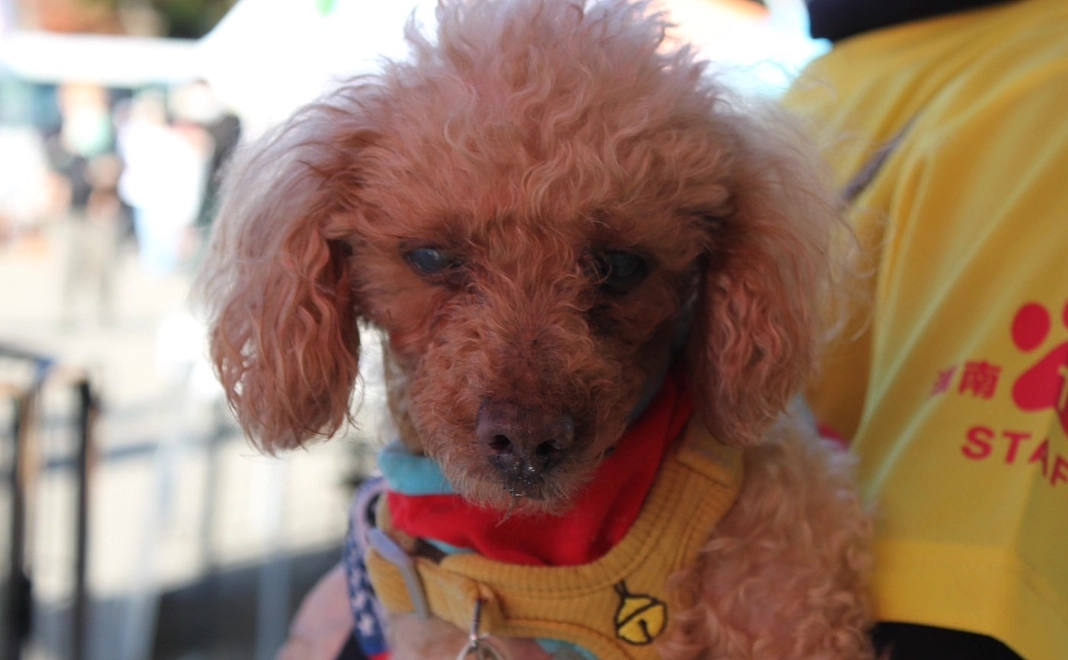 安心して医療にかかれる5000円コース