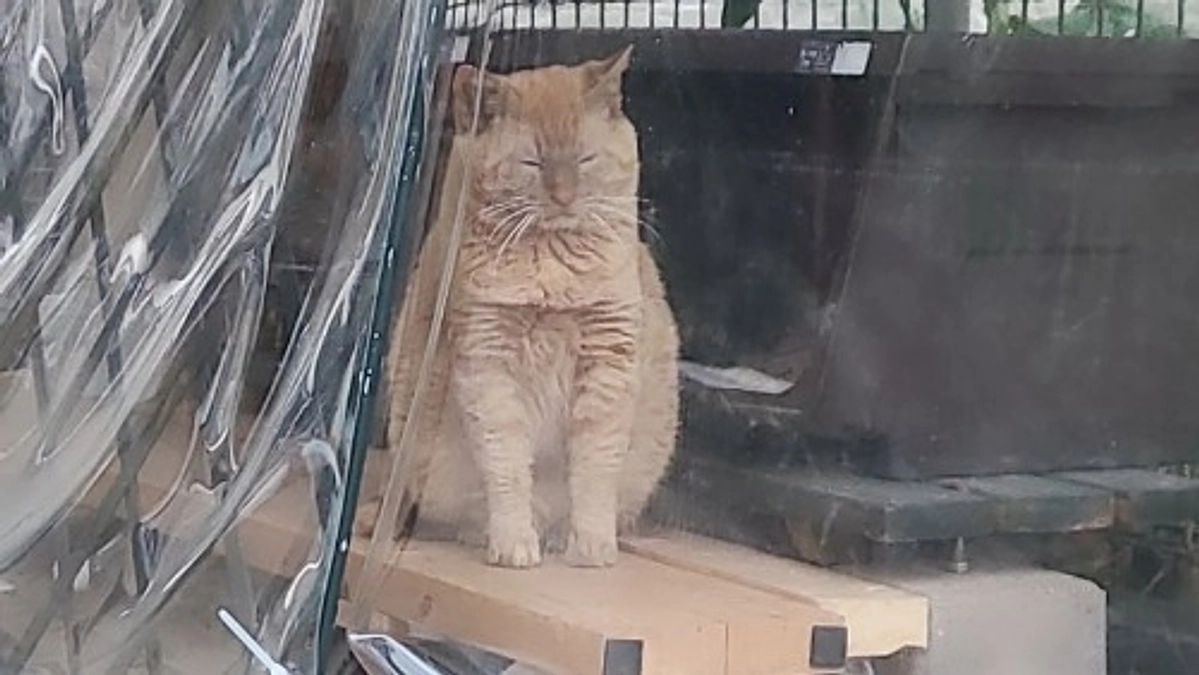 【残り11日！80%達成ありがとうございます🌷】「心情、感情、気持ち」 #関わる人で運命が決まる