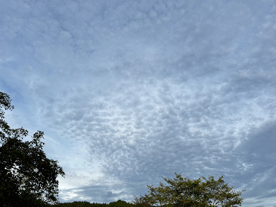 〜能登大雨被害お見舞い〜