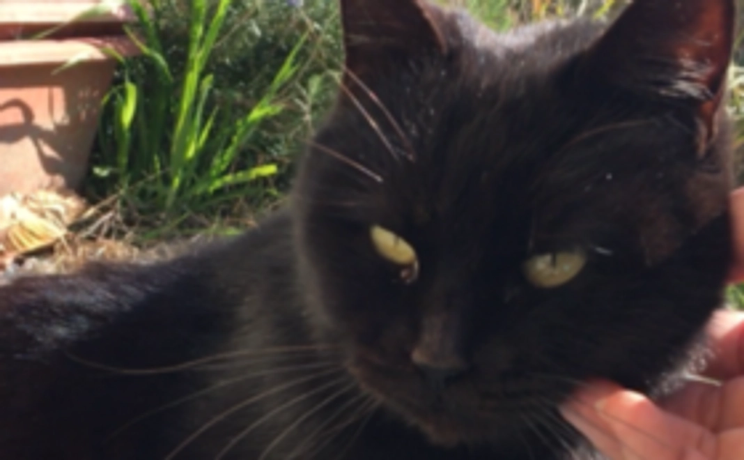 【一代限りの命をあたかかく見守ります】