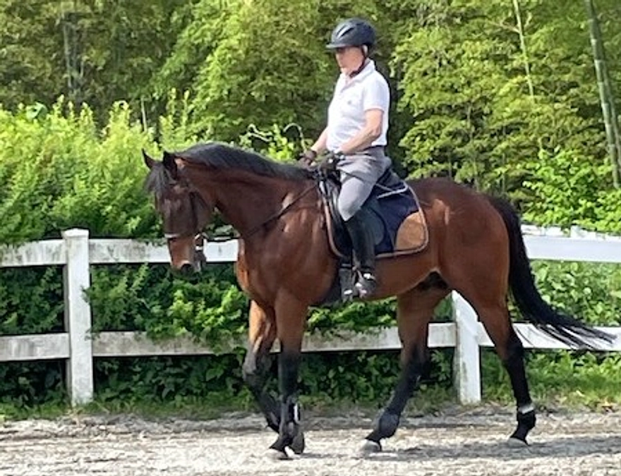 ９月２６日にプロジェクトがメルマガ配信されます。