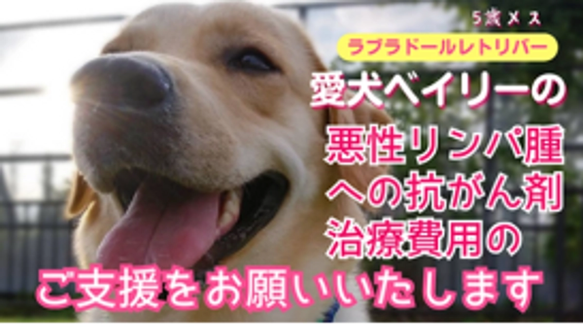 目標額達成のご報告