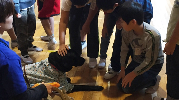 小中学生と盲導犬のふれあい教室開催を増やしたい！